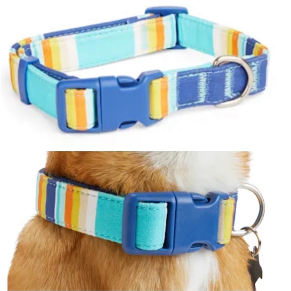 NWT Artist Striped Dog Collar M